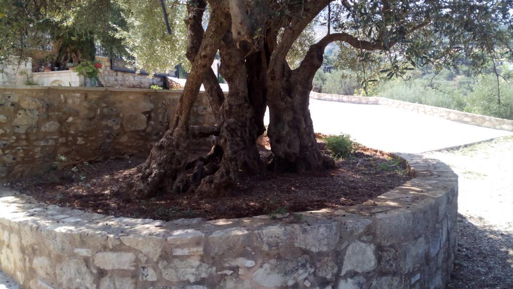 Tzitzifes Stone Mansion Βίλα Εξωτερικό φωτογραφία