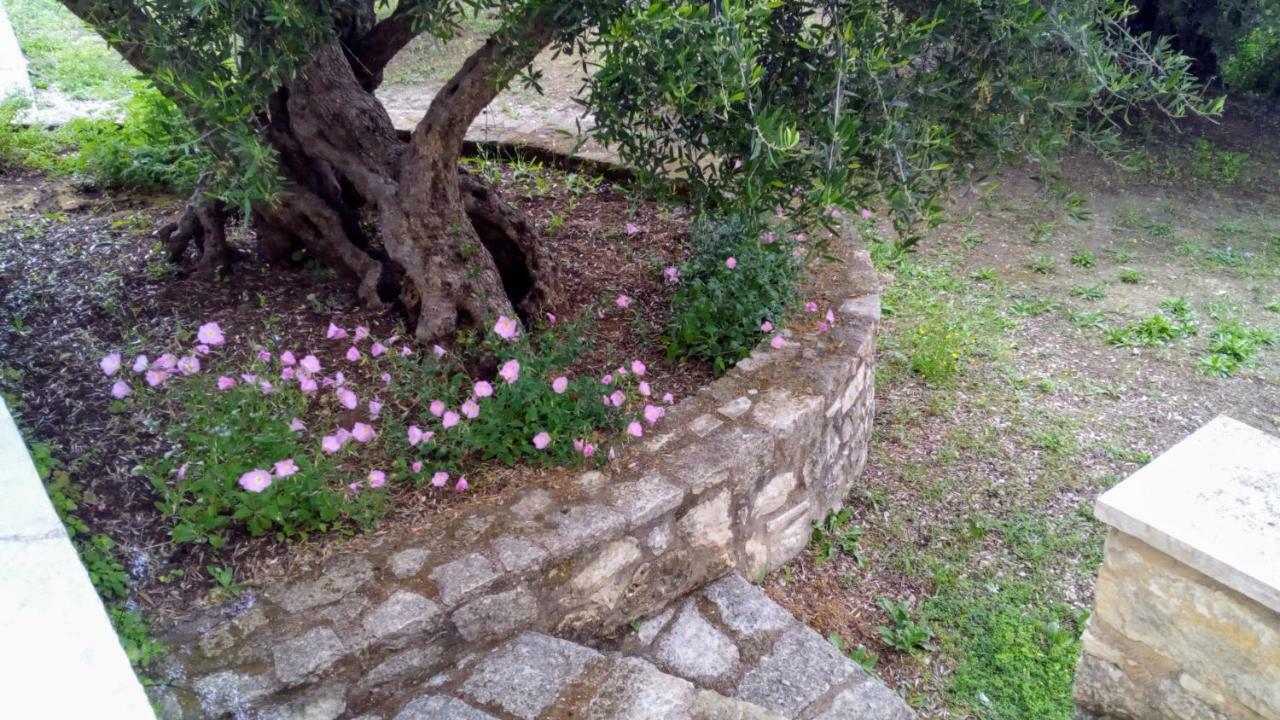 Tzitzifes Stone Mansion Βίλα Εξωτερικό φωτογραφία